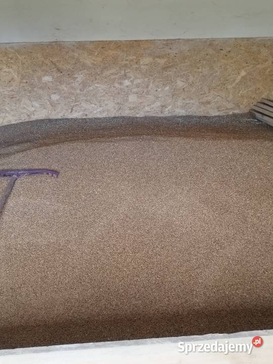 Sprzedam pszenicę 2025 podkarpackie Tarnobrzeg