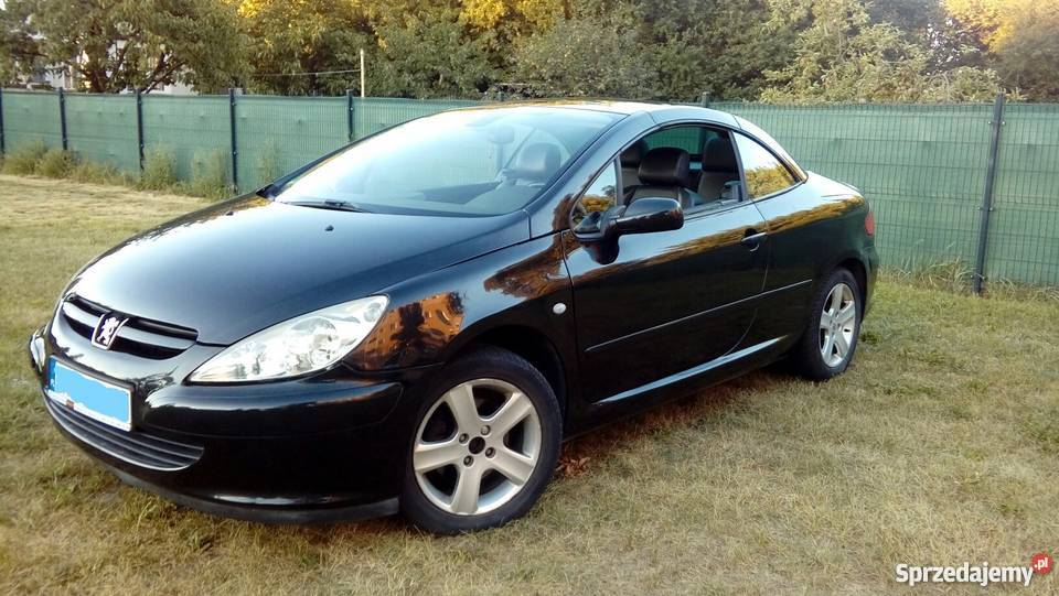 Peugeot 307CC Kabrio Coupe 20 benzyna 2004 CD
