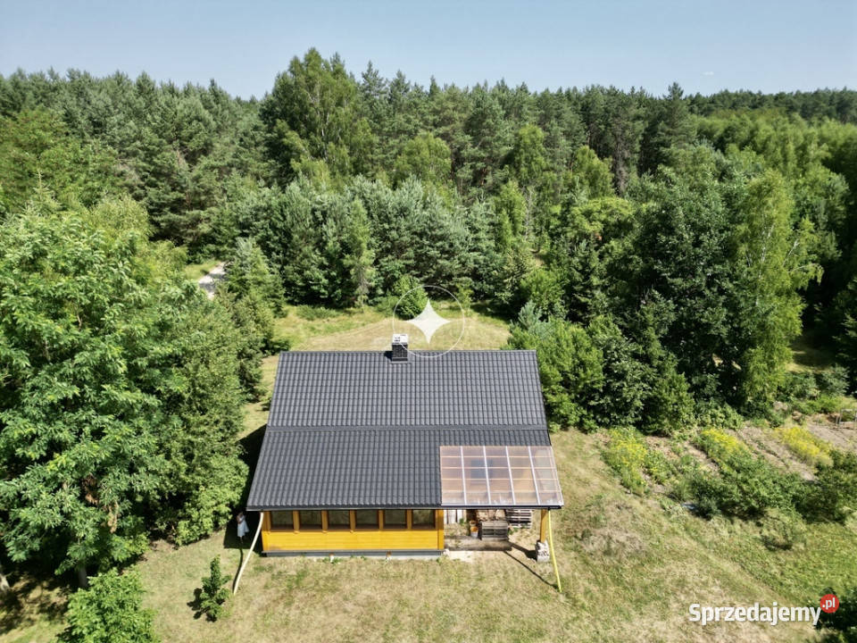 Urokliwy dom z działką lesie Sprzedaż lubelskie Mszanna-Kolonia sprzedam