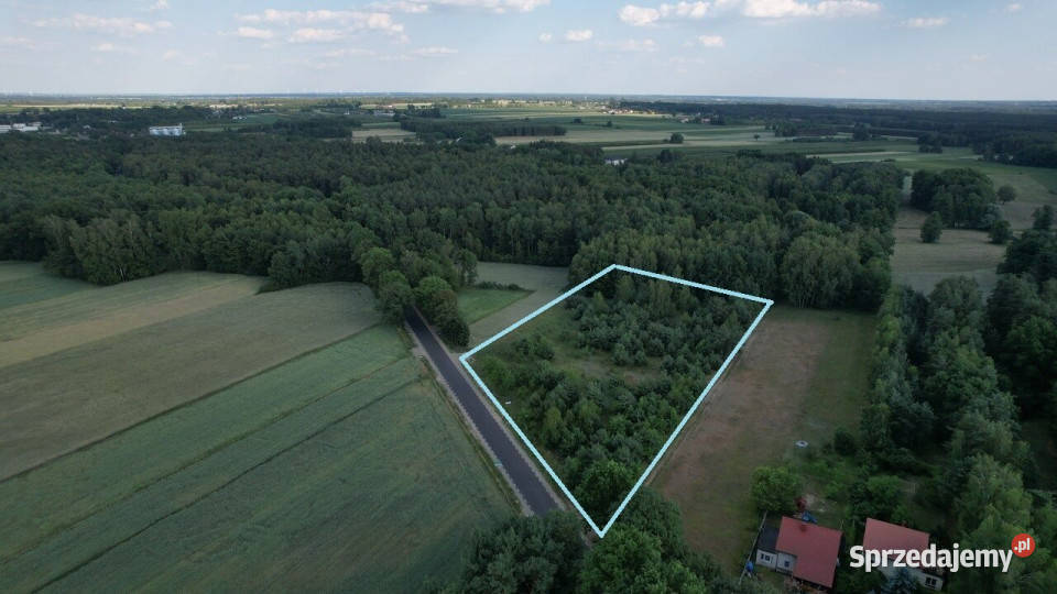 Sprzedam grunt Pałki 8116m2 30zł/m2