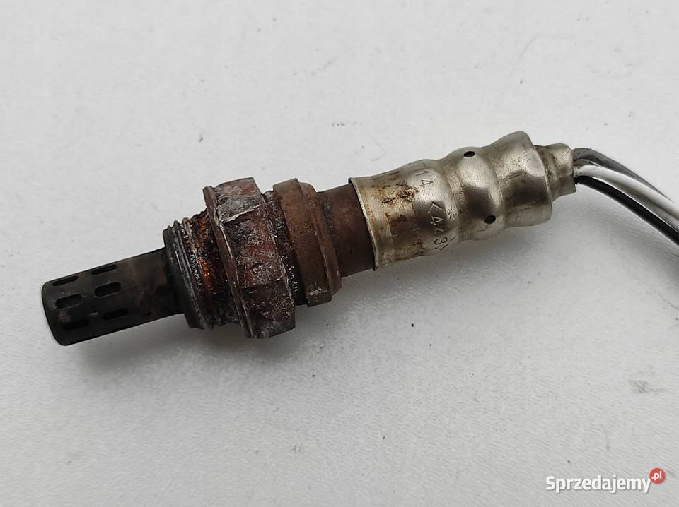 SONDA LAMBDA RENAULT VEL SATIS 35 BENZYNA wielkopolskie Nowy Tomyśl