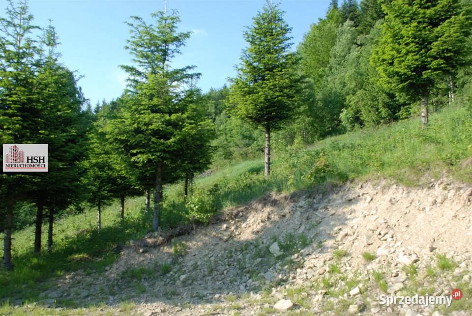 Działka do sprzedania Maków Podhalański 14000m2 sprzedam