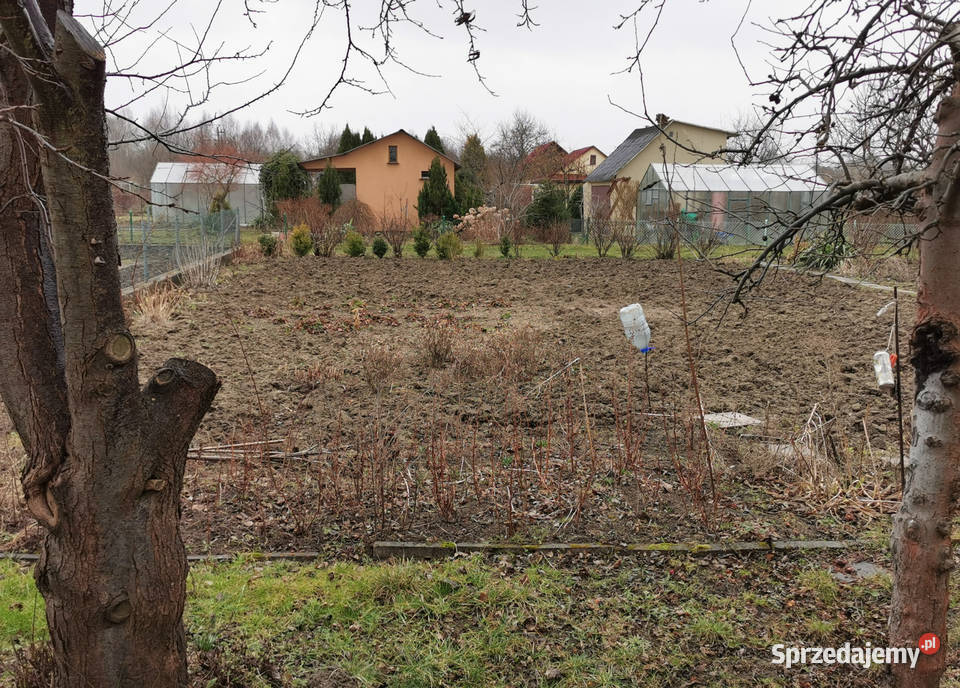 Sprzedam działkę na terenie ROD Jamno w woda Sprzedaż