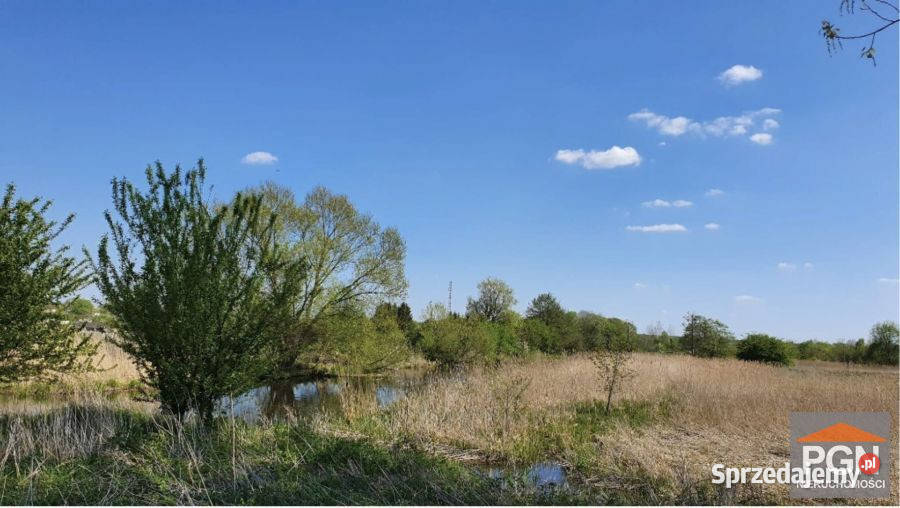 Do sprzedaży działka Trzebiatów 3314 metry asfalt sprzedam