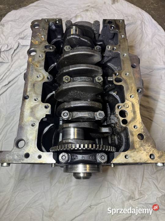 Blok z wałem VW AUDI 20 tdi Świebodzin