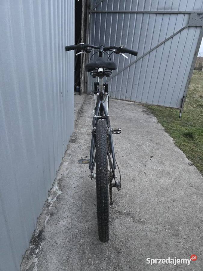 Rower Górski COYOTE Univers Duża Rama 195