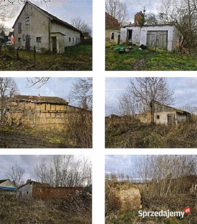 Syndyk dwa udziały 12 części gospodarstwo w Liczba pokoi 3 warmińsko-mazurskie Sokolica sprzedam