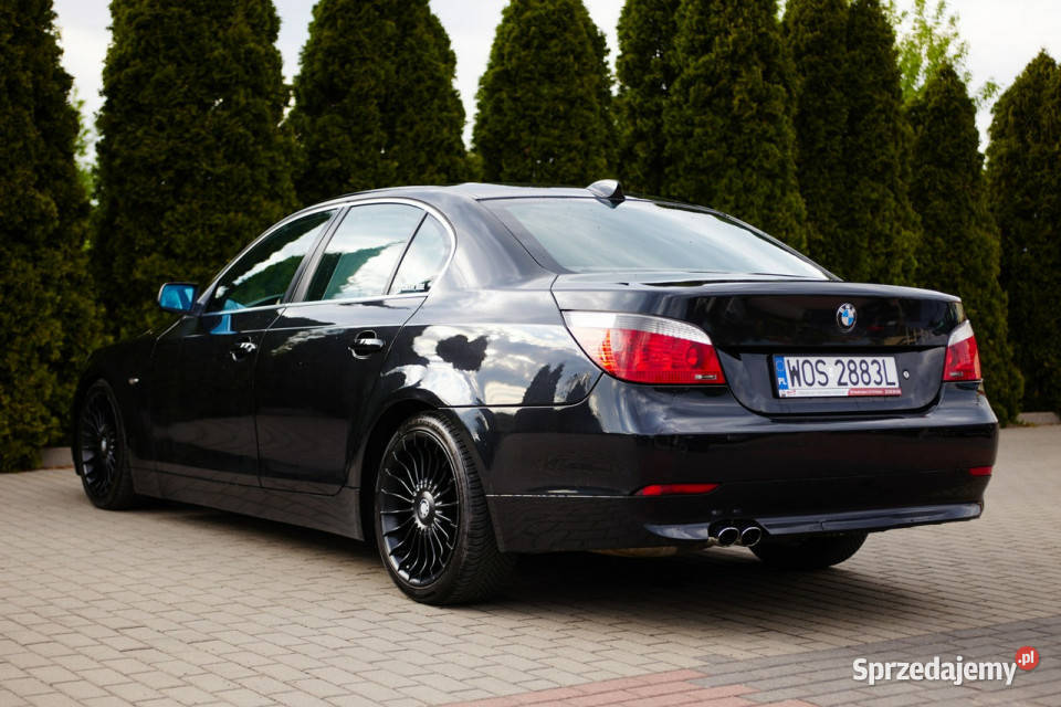 BMW 530 E60 20032010 nieuszkodzony mazowieckie Rzekuń