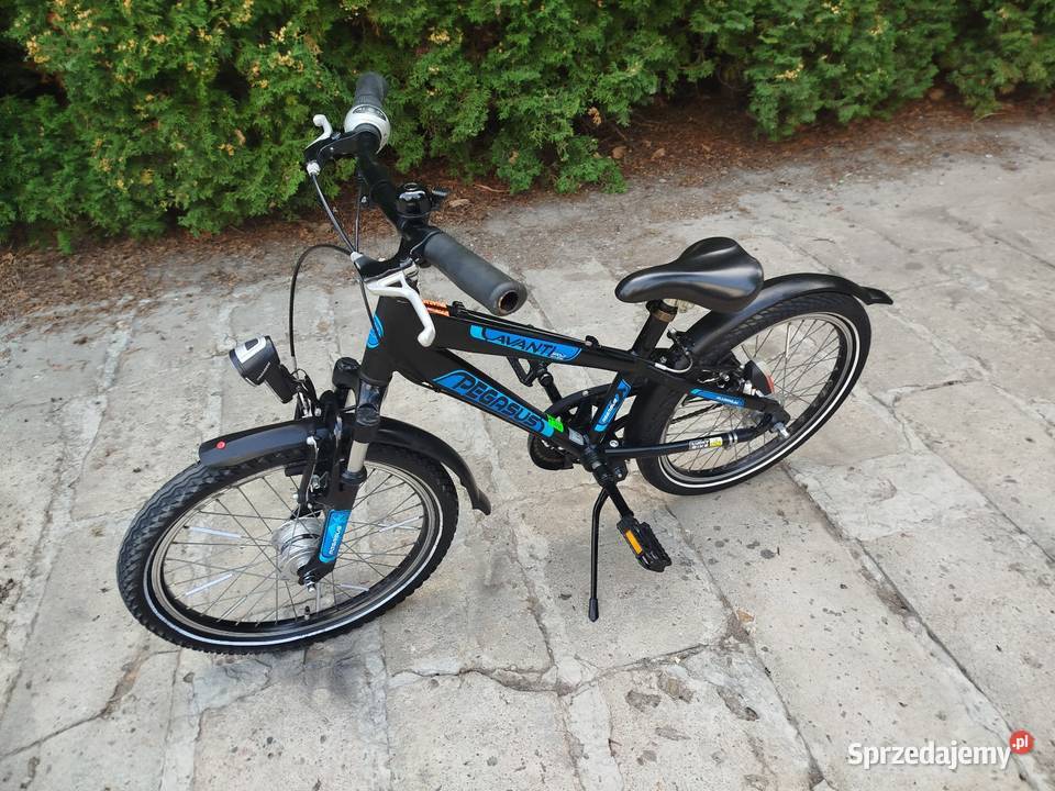 Rower dziecięcy Pegasus koło 20 przywieziono z Zamość