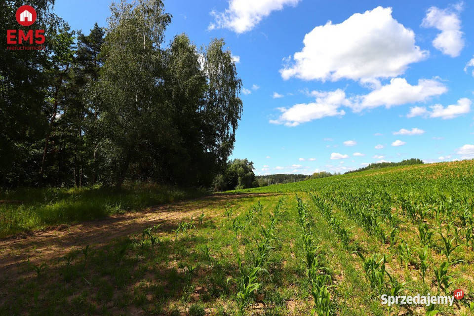Działka 1100m2 Rożyńsk Wielki warmińsko-mazurskie sprzedam