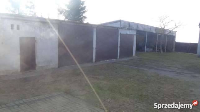 Gospodarstwo rolne 7 ha z budynkami Dobrzejewice sprzedam