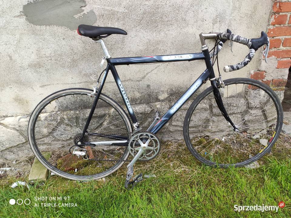 Kolarzówka pinarello campagnolo