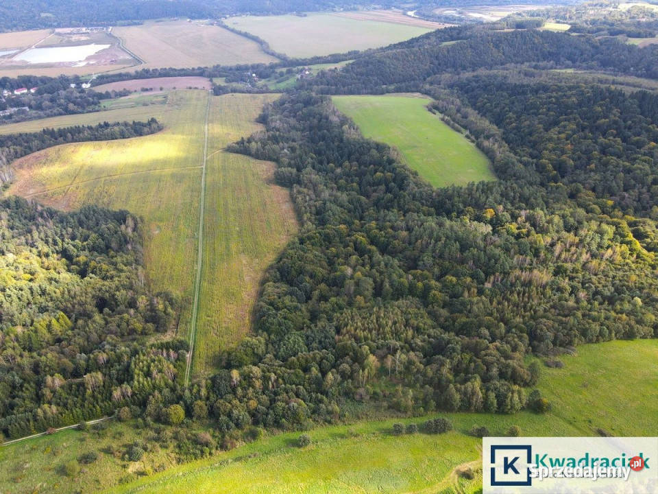 Działka 23000m2 Witryłów Sprzedaż