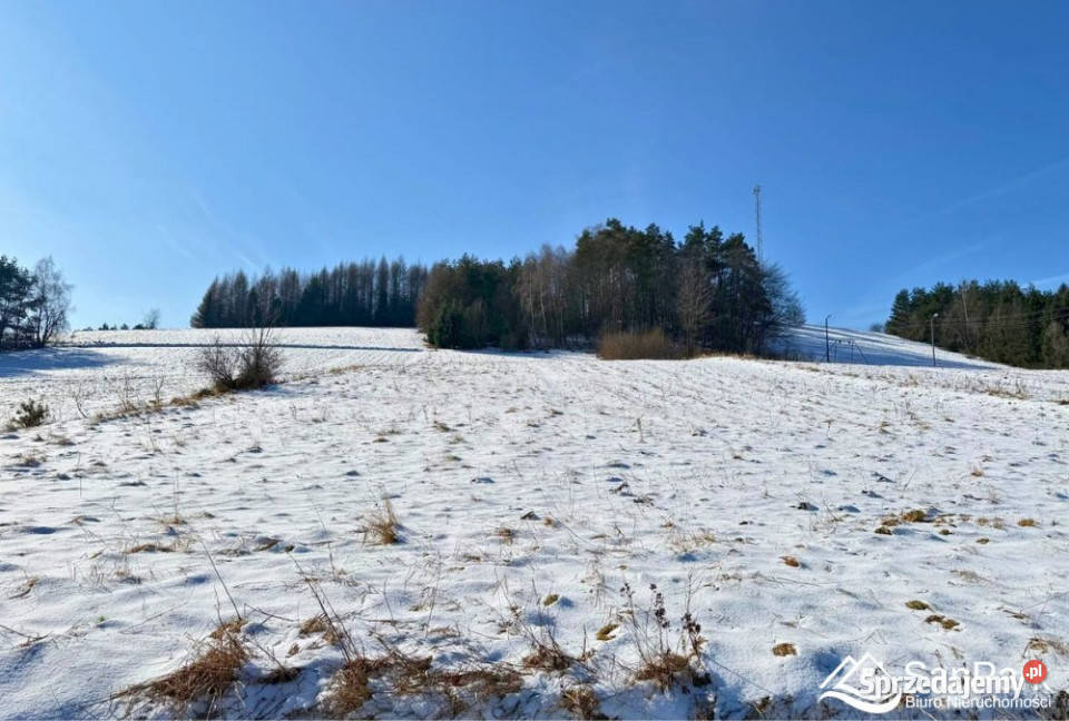 sprzedaży działki Polańczyk 5365m2