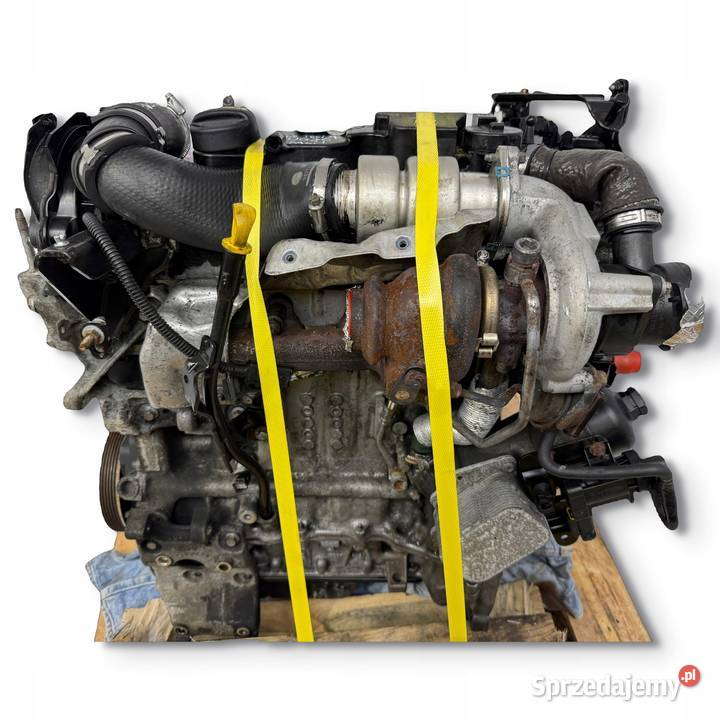 SILNIK UGJC Ford Fiesta VII MK7 B B 15 TDCI 75 Silniki kompletne Chełm