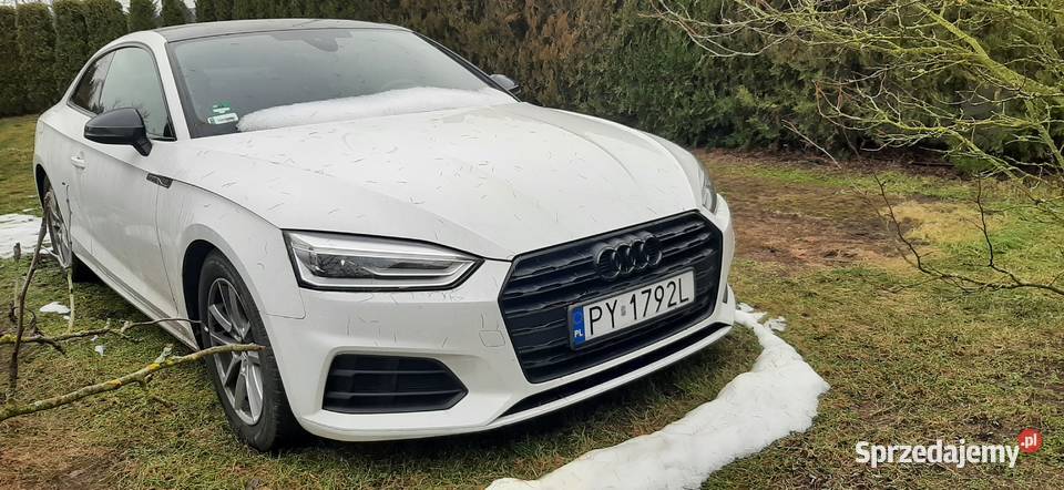 Audi a5 miękka hybryda 20 tfsi z roku 2019 Poznań