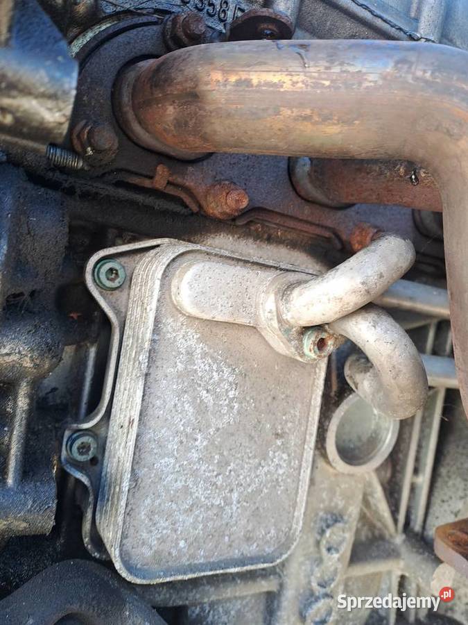 Volkswagen Golf V 16 FSi 115 silnik kompletny Jastrzębie-Zdrój sprzedam