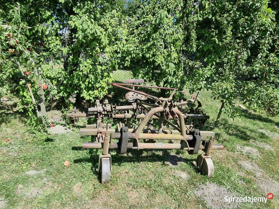 Wielorak pazurki obsypnik dołkownik Pozostałe Goczałków