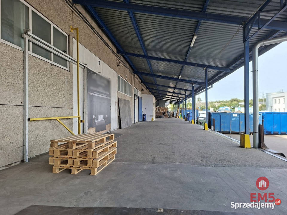 Lokal Kleosin 700m2