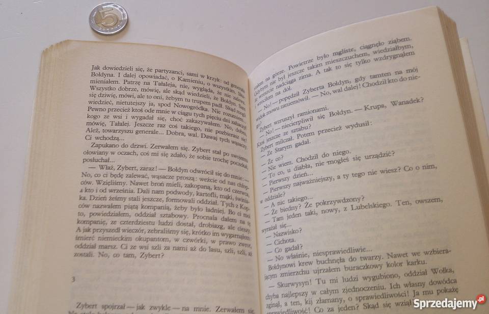 Jerzy Putrament Bołdyn Książka Rogoźnik sprzedam