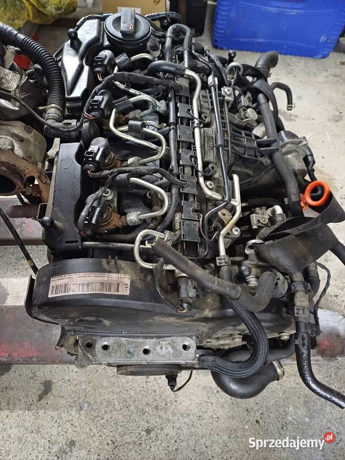 Silnik vw 16 tdi caya skoda passat audi golf Pszczyna