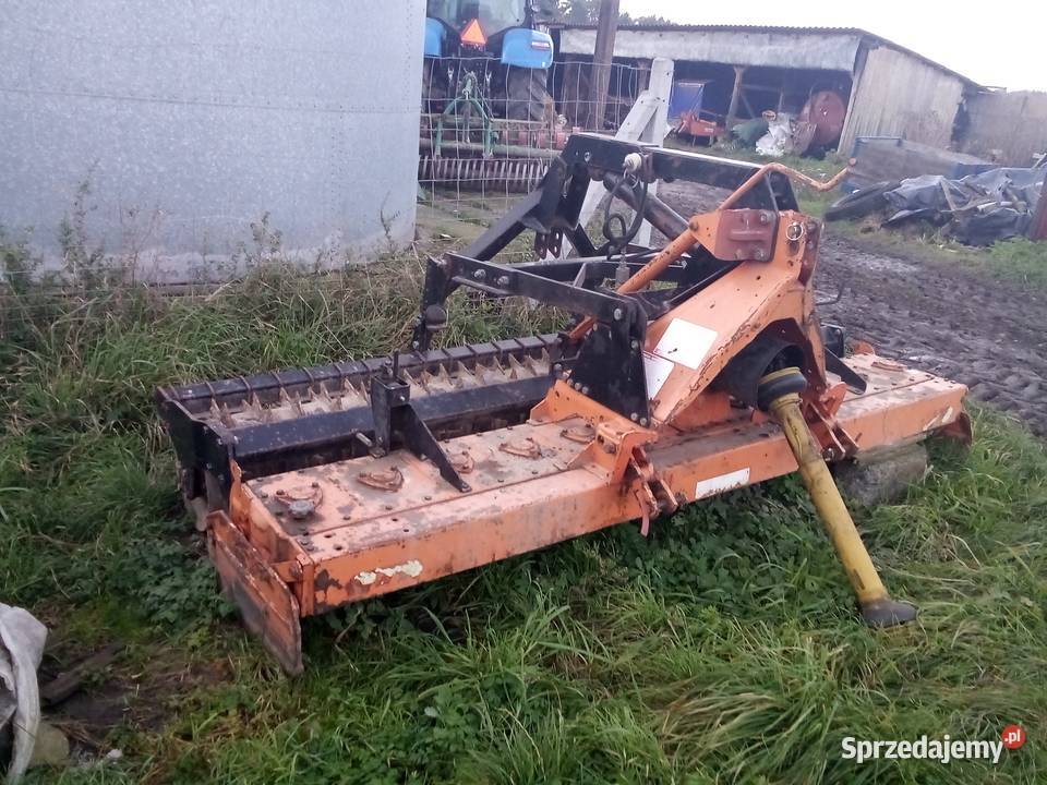 Brona wirowa maschio gaspardo Ostrów Wielkopolski