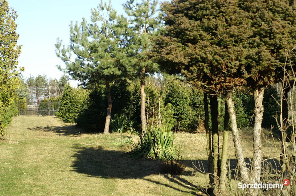 Działka budowlana 36a Grunty i działki lubelskie Jawidz