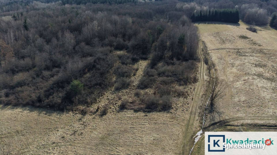 Działka Lutcza 4000m2