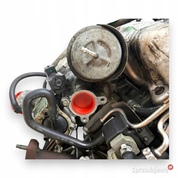 SILNIK JQDB Ford Focus III MK3 C 16 EcoBoost T lubelskie Chełm