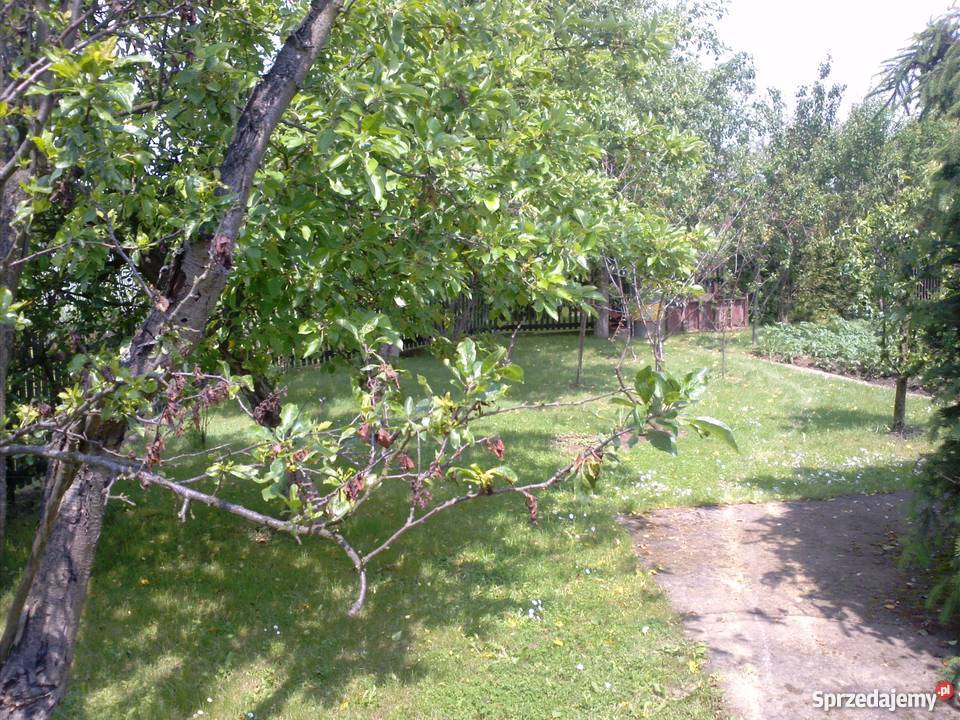 Działka rekreacyjna 560m ogródki działkowe gaz Mielec sprzedam