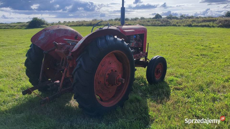 Traktor Nuffield Dm4 diesel Chojnice sprzedam