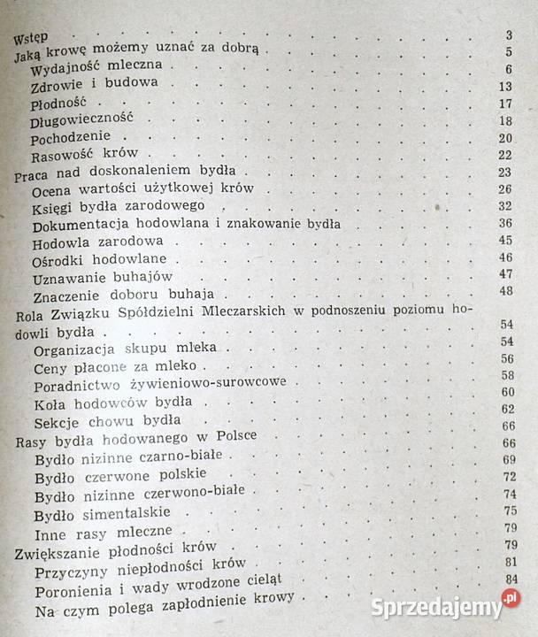Krowa mleczna Henryk Jasiorowski miękka