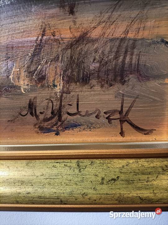 Obrazy ręcznie malowane Mieczysław Wilczek