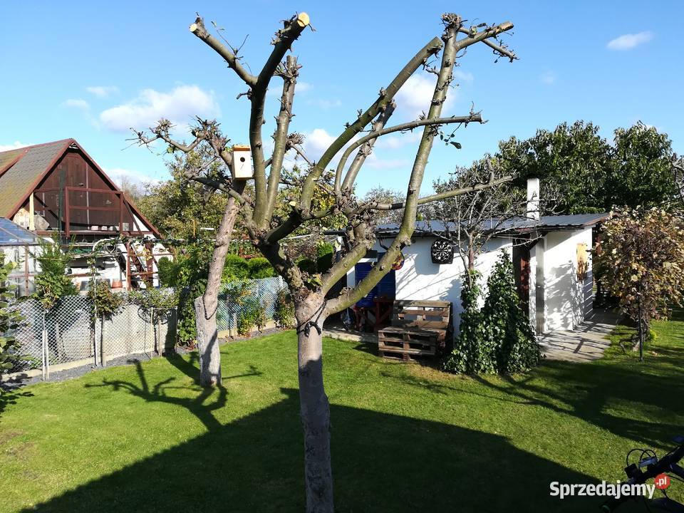 Sprzedam działkę rekreacyjną 16zł/m2 Konin