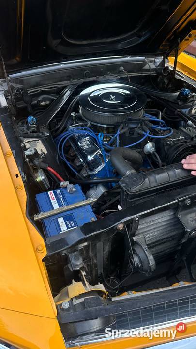 Ford mustang 1969 wielkopolskie Poniec sprzedam