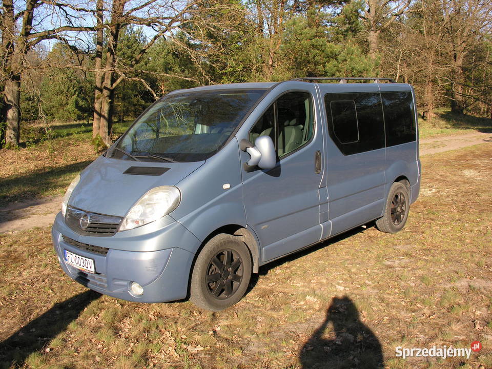 Vivaro Westfalia Zielona Góra
