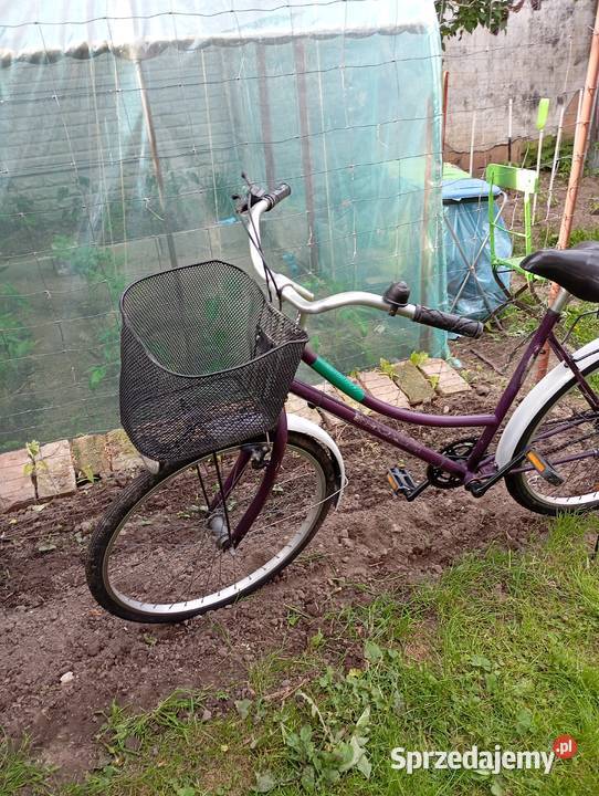 rower miejski damka 26 Świebodzin