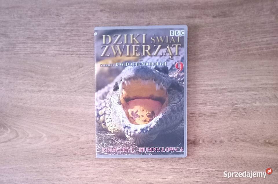 Edukacja Lew Orka i inne seria BBC Dziki świat