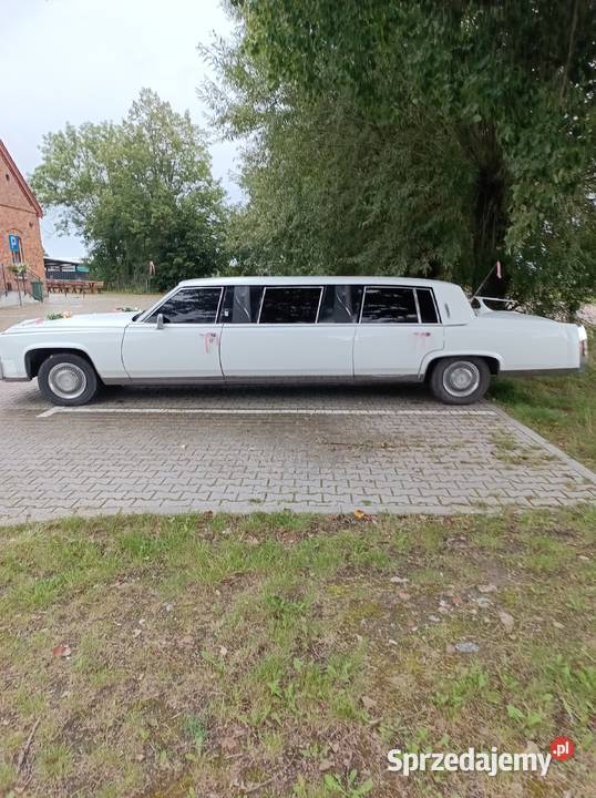 Limuzyna Rok produkcji 1987 Chełmża