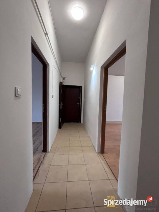 Mieszkanie 809m2 4 pokoje Szczecin