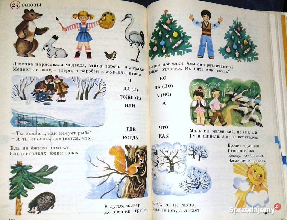 Russkij Jazyk w kartinkach Slowar Język rosyjski Chełm