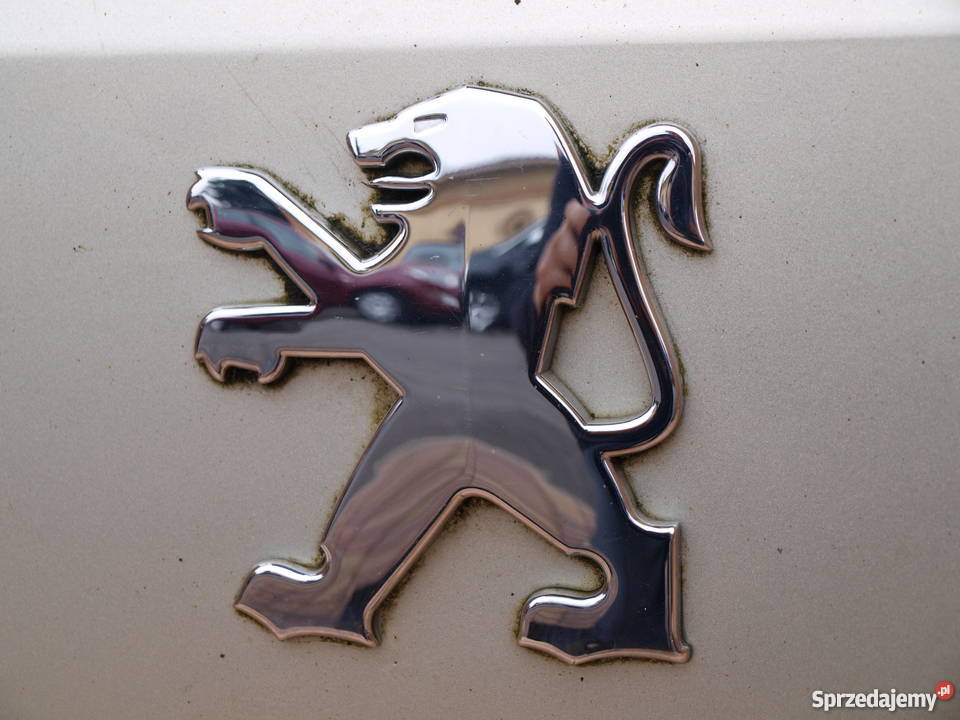 Peugeot 407 Coupe klapa tył kompletna 2005 2011r osobowe Kalisz