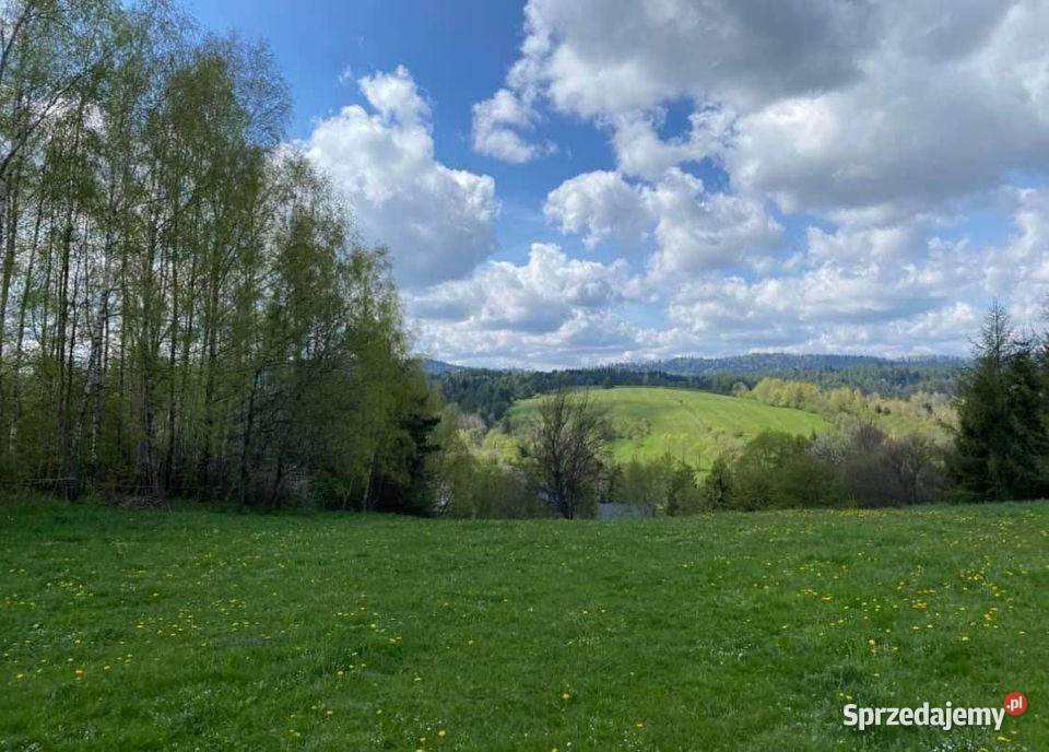 Dom na sprzedaż miejscowość Czarna powiat Czarna Górna