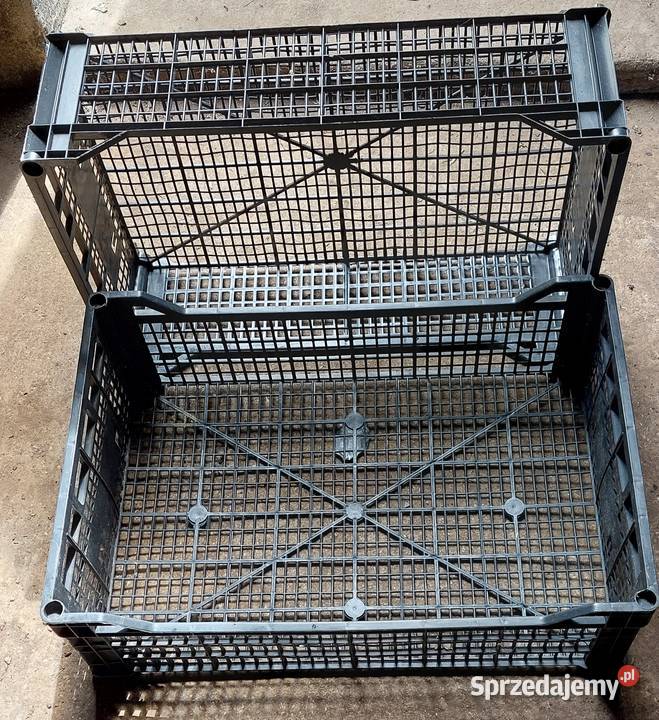 Skrzynki plastikowe różne rodzaje do 15 Czempiń sprzedam