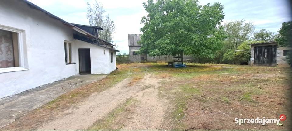 Sprzedam siedlisko kujawsko-pomorskie Łąki Markowe