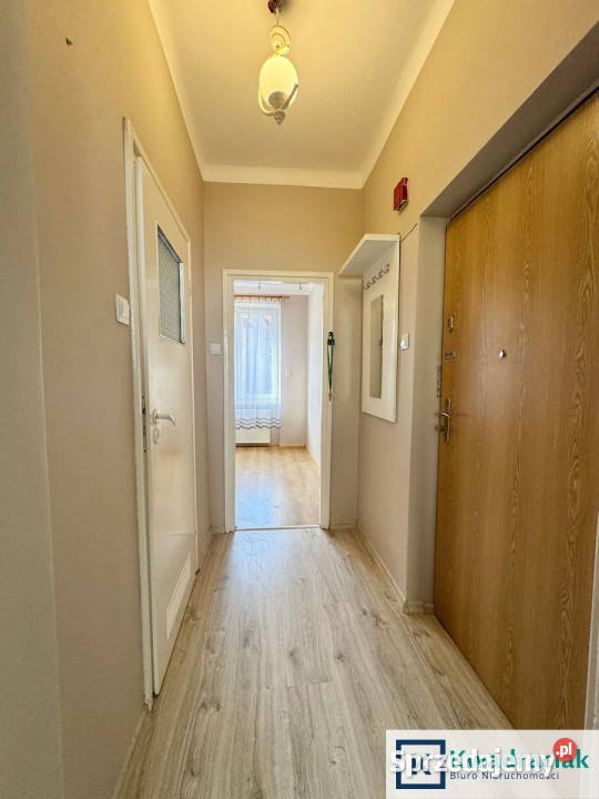 Mieszkanie Jasło Sokoła 3917m2 1 pok Piętro 2 Sprzedaż