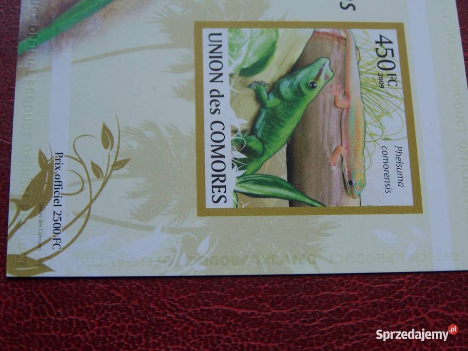 Komory 2009 MNH Fauna Jaszczurki Nakład 2500