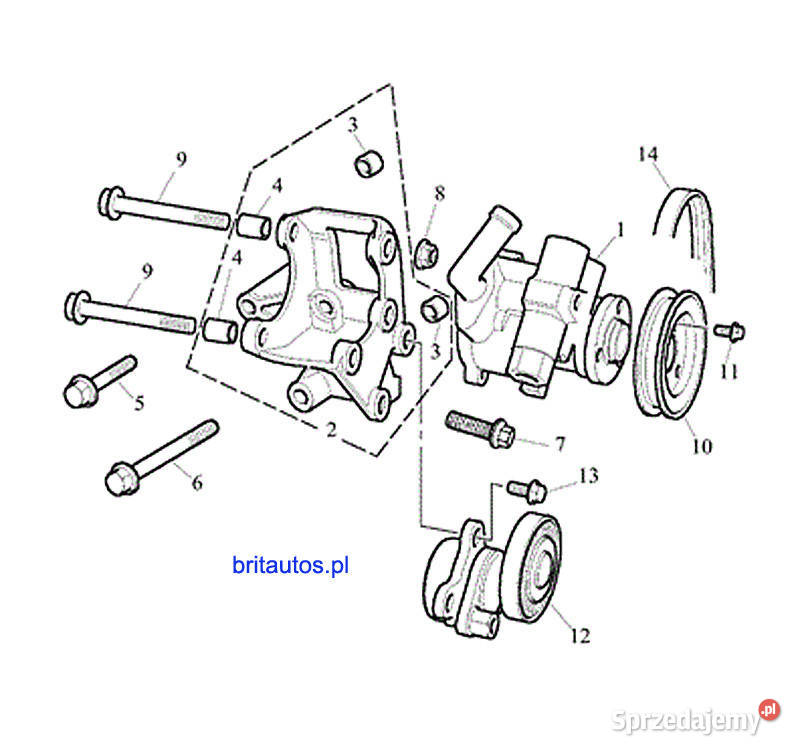 NAPINACZ PASKA POMPY WSPOMAGANIA FREELANDER 18 osobowe Poznań