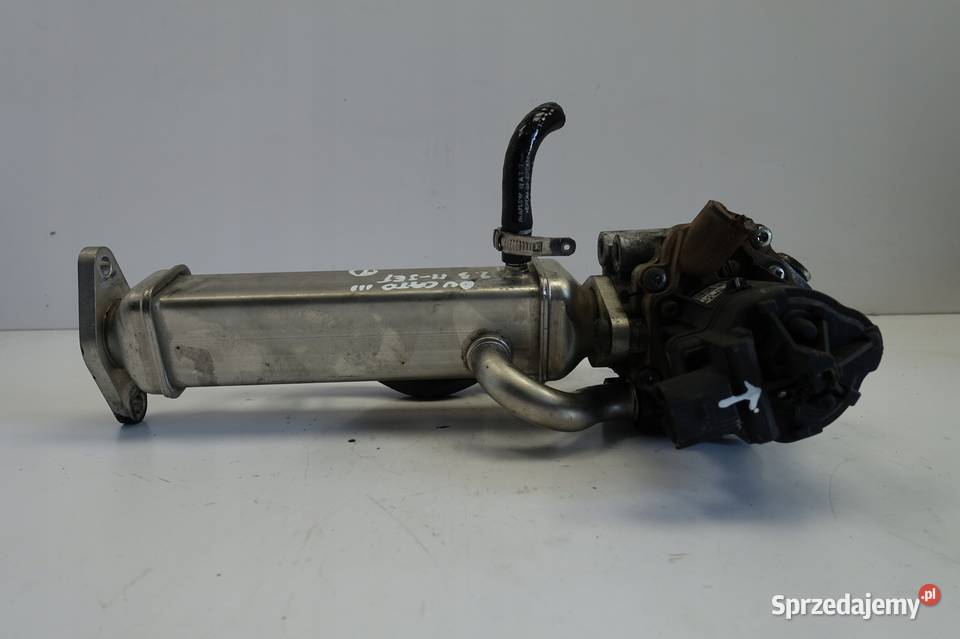 Fiat Ducato III 23 JTD CHŁODNICA SPALIN EGR org osobowe Rudka