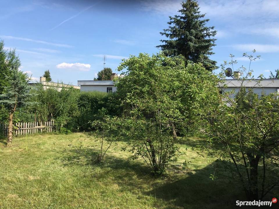 Działka rekreacyjna ROD Sierosław IV 60zł/m2